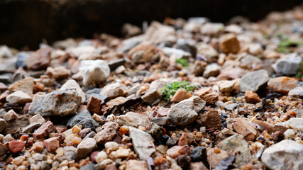 Small rocks mixed with sand on the ground.
