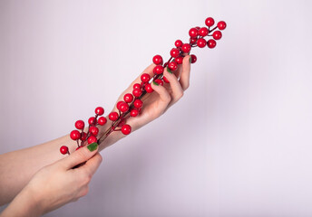Red winterberry branch in female hands on white background