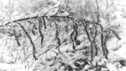 Wintertime