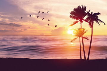 Silhouette palm tree at tropical beach with birds flying on sunset sky abstract background. Nature...