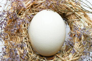A large fresh ostrich egg lies in a hay nest. Easter theme, holiday. Happy easter card with copy space for text in minimalist easter style