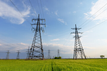 Electric poles in green wheat fields at daytime. Transportation of alternative and renewable electricity