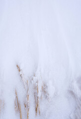 Dry grass covered with snow and ice, selective focus. Winter background.