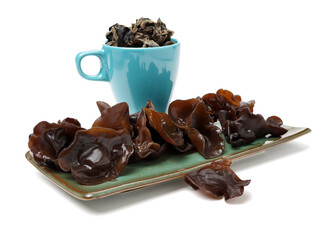 black fungus on white background 