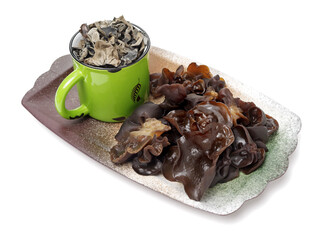 black fungus on white background 