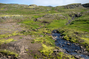Fototapeta na wymiar Majestic volcanic landscape covered with moss in Iceland highlands