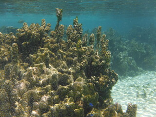 Island