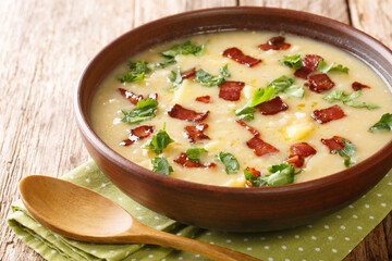 Rumfordsuppe pea and barley soup with bacon close-up in a plate on the table. horizontal