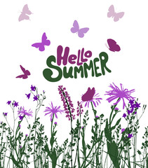 Abstract background with black silhouettes of meadow wild herbs and flowers. Wildflowers. flying butterflies. Hello summer. Floral background. Wild grass. Vector illustration.