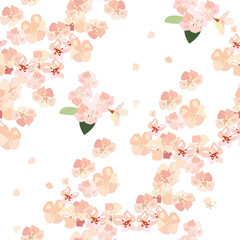 Seamless pattern with apple tree flowers on a white background