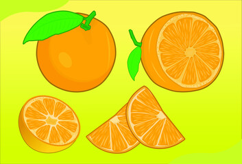 kinds of orange fruit slices