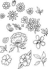 set of simple summer flowers drawings. abstract flower illustration. hand drawn vector art. black white illustration