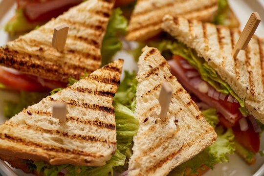 Close up on appetizing fresh and healthy grilled club sandwiches with ham and cheese