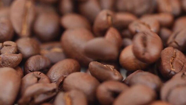 View of dropping coffee seeds, Slow motion footage of coffee beans