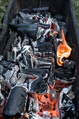 May and grilled meat