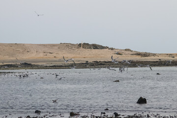 Beach in Oman, Masirah Island volcanic landscape