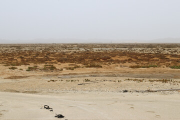 Beach in Oman, Masirah Island volcanic landscape