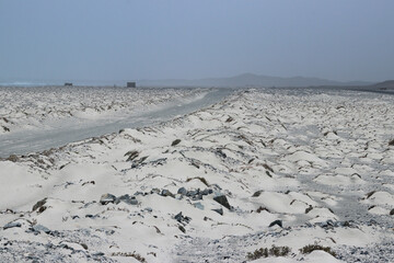 desert road at the beach