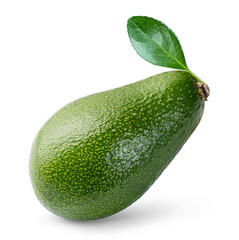 Avocado ripe fruit with leaf isolated white background