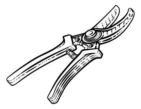 recommend clip art: Secateurs garden pruner gardening tool illustration in a vintage retro woodcut style