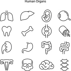 Internal organs vector icons set, modern solid symbol collection, filled style pictogram pack. Signs, logo illustration. Set includes icons as human heart organ, kidney, brain, liver, spine backbone,