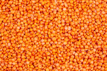 Dried red lentil