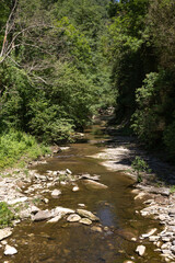 river in the forest of Rupit