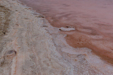 Pink lakes red color in Oman, caused by the presence of algae that produces carotenoids, Dunaliella salina