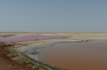 Pink lakes red color in Oman, caused by the presence of algae that produces carotenoids, Dunaliella salina