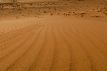 Sands of the desert at wahiba, arabic landscape, sand dunes and forms at sunset