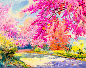 Watercolor original landscape painting pink color of  Wild himalayan cherry