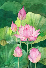 Watercolor illustration with a pond, lotus flowers and leaves.