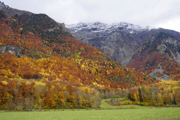 autumn landscape in the mountains of the Southern Alps, France