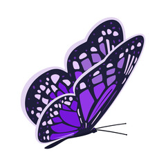 Dark purple butterfly. Vector illustration on a white background.