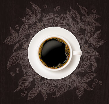 Top view of cup of coffee with sketch coffee tree branches on chalkboard background. Vector illustration with hand drawn and realistic mug