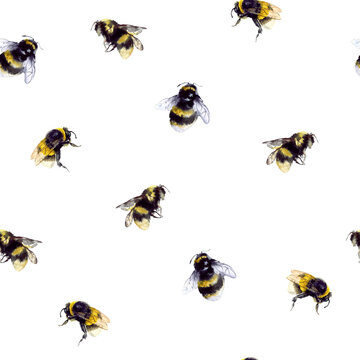 Seamless cartridges with bumblebees and bees on a white background. Insect pattern. Honey pattern. Design for your packaging, wallpaper, fabric and more