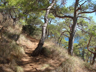 Rear view of a mountain trail descending from the top of the mountain through invisible stone obstacles on a background of white clouds approaching the forest.