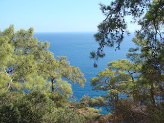 Fototapeta na wymiar View from the thickets of the mountain forest on the blue infinity of the Mediterranean Sea, which connects with the sunny sky on the horizon.