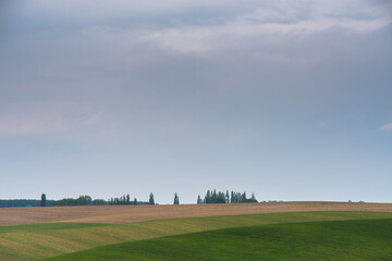 Green plowed agricultural fields in the hills. Picturesque spring landscape. Rural scene. Abstract natural pattern, texture, background, wallpaper