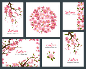 Fototapeta na wymiar Set of greeting cards, banners and invitation card with blossom sakura flowers. Blooming flowers illustration wedding invitation template