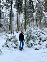 Happy Child and beautiful winter landscape. Teen boy at frosty day in forest covered snow.