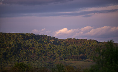 forest in early spring at sunset. high and green hill ridge