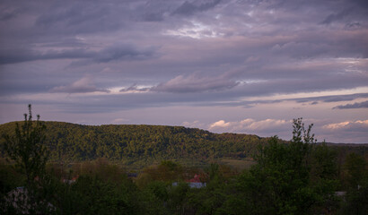 forest in early spring at sunset. high and green hill ridge