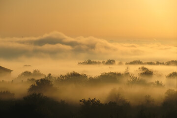 Fototapeta na wymiar Golden mist landscape early morning sunrise