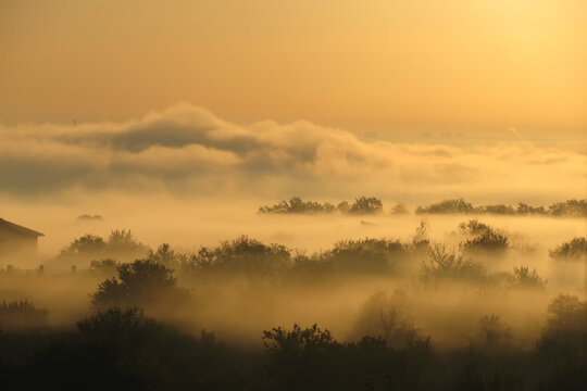 Golden mist landscape early morning sunrise © tmass
