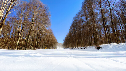 Snowy Ski slope with sunlight of mountain Amiata in Toscana, Italy. Vacation travel concept. Winter activities.