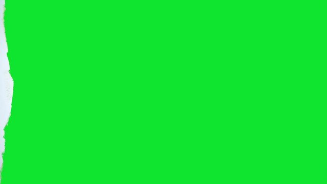 Very fast time lapse 4k of mature adult man painting white wall in room with green color to create a greenscreen background, medium shot
