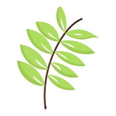 Fototapeta premium Leaves icon vector isolated on white background. Elements for eco and bio logos.