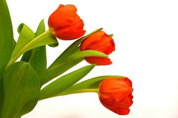 Blumenstrauß als Geschenk
