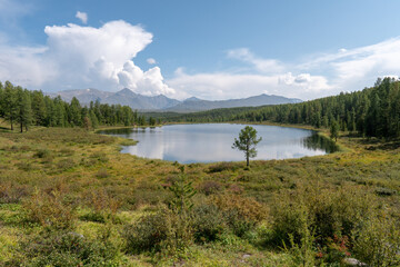 Fototapeta na wymiar Mountain lake among the autumn forest